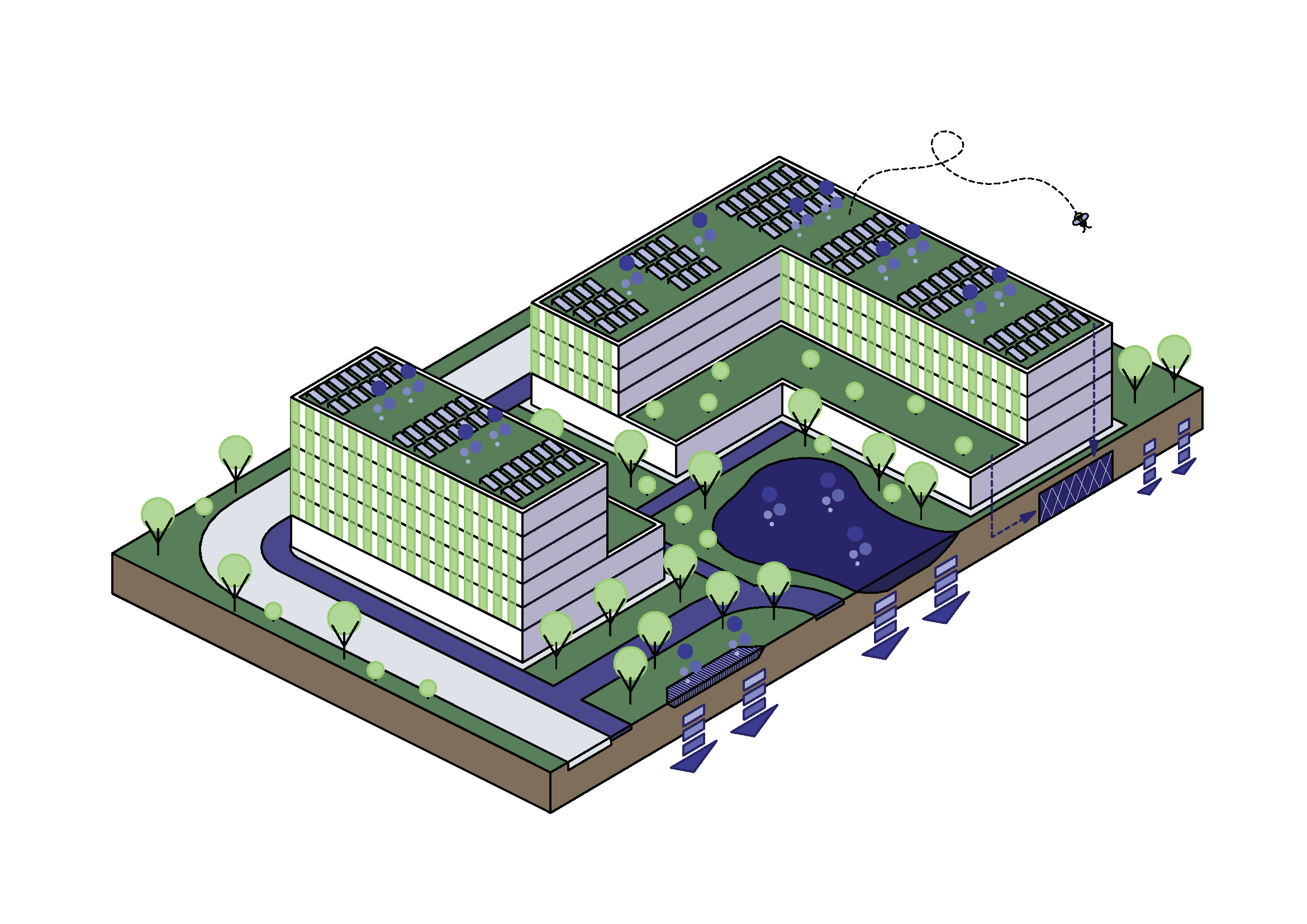 Schwammstadt-Konzept
